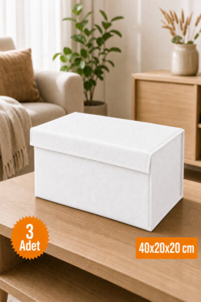 Emma Oliwia 3 Pieces White Closet Organizer with Lid, Foldable Clothing Stora...