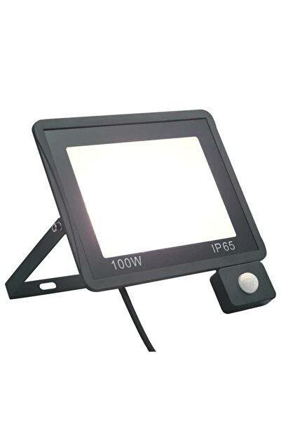 vidaxl Proiector LED cu senzor, 100 W, alb rece
