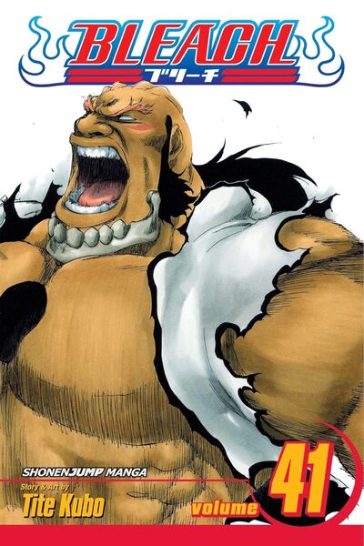 Tite Kubo Bleach, Vol. 41