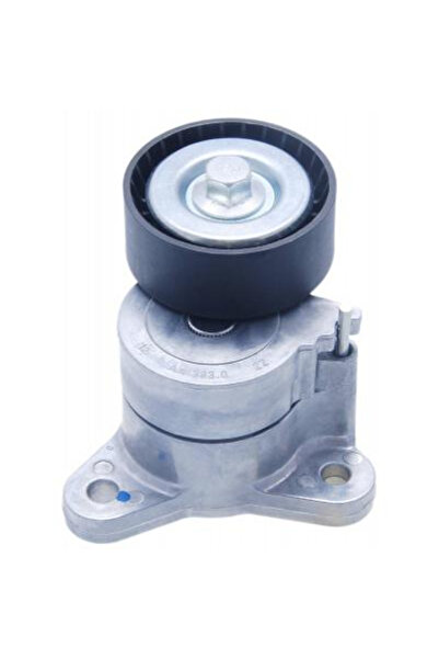 FEBEST Intinzator curea, curea de distribuție 0490-CW5W