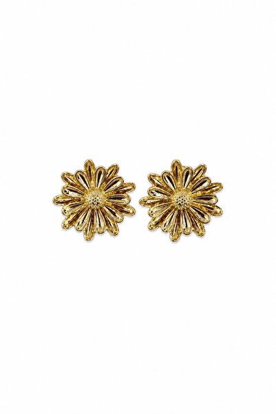 Charmist Solea Collection