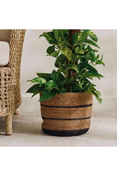 PAN HOME Debora Sea Grass Planter 25x20x23cm - Natural