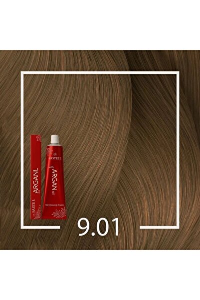pasteel Pastel Hair Dye 9.01 Very Light Gray Argan for Soft Color and Healthy...