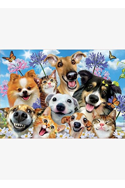 Generic Brand 500 Pieces Fun Solar Selfie Puzzle (Educa 17983)
