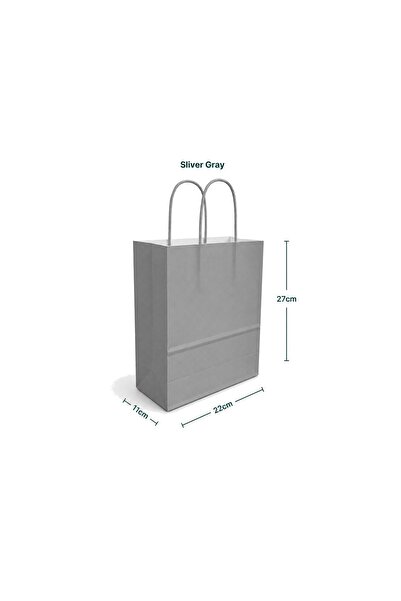 sunpack Paper Gift Bags – Silver Gray 22×11×27 cm – Pack of 12