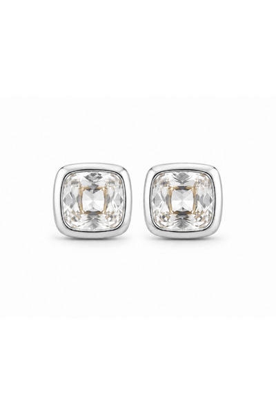 Venus Design Steel Mare Earrings