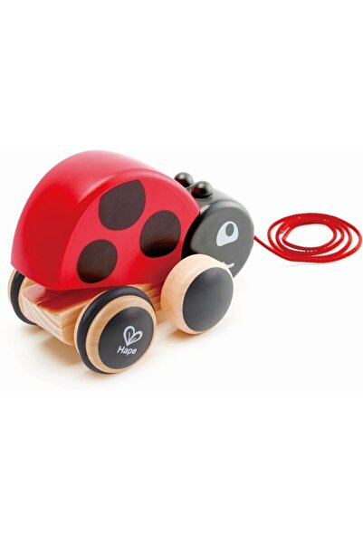 Hape Ξύλινη Περιπάτορας Πασχαλίτσα