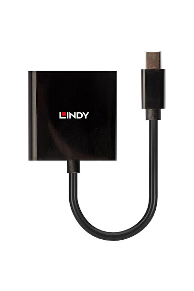 LİNDY Mini DisplayPort to DVI