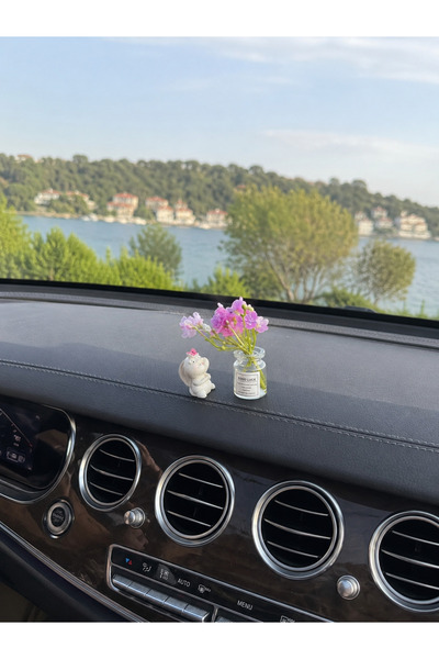 Oasis Life SEVİMLİ TAVŞAN VE VAZO ÇİÇEK ARAÇ İÇİ TORPİDO SÜSÜ 2 PARÇA