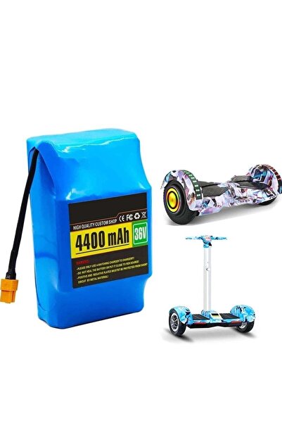 ELTRAZONE 10S2P 36V Electric Scooter Lithium Battery Pack – 36V 4.4Ah Hoverbo...