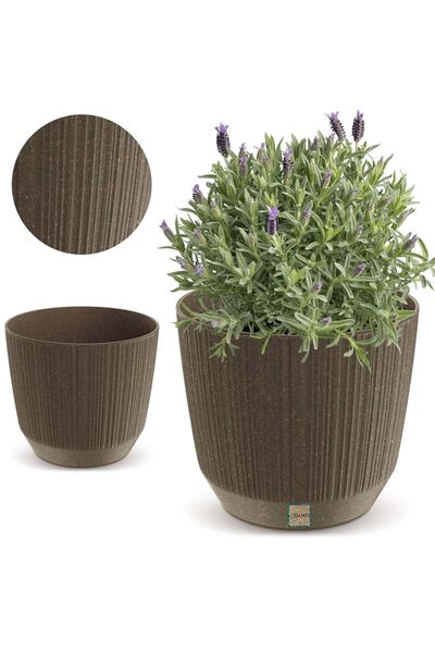 EDANTI Ghiveci de flori pentru casă 19,5 cm Ryfo Pentru masă, pervaz, cafea