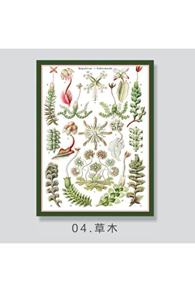OEM Green gift wrapping paper 85g