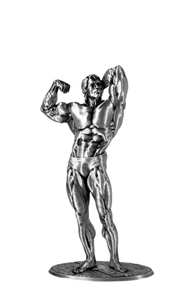 dream3d Arnold Schwarzenegger Figür - 25 cm Boyunda
