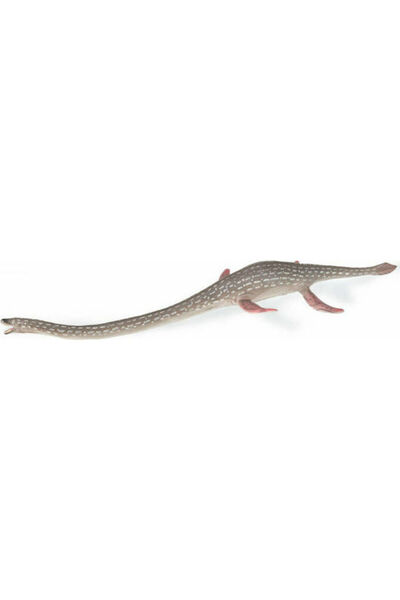 Collecta Elasmosaurus 24cm