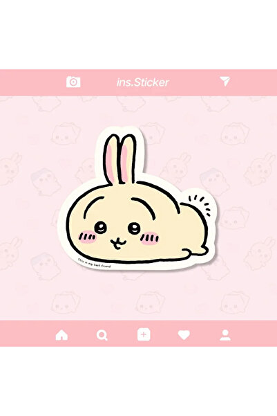 Choice9 Bandai C-SBD-Z-2 Cute Cartoon jiyi Usagi Hachiware Special-Shaped Lea...
