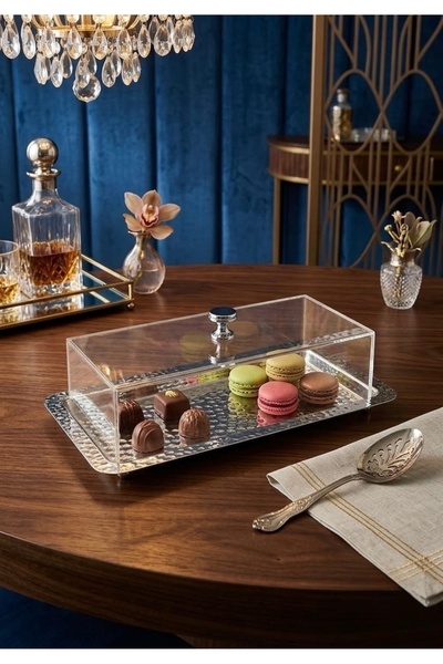 ABAREEK Rectangular Stainless Steel Snack and Appetizer Serving Tray with Cle...