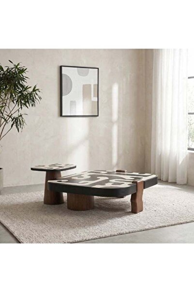 Danube Home Wyler Set of 2 Square Coffee Table With Marble- Brown/Grey pattern
