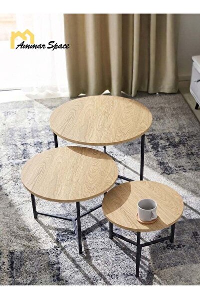 Ammar Space 3PCS Round Nesting Coffee Table Set, Wooden Side Tables with Meta...