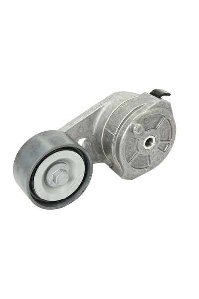 DAYCO Intinzator Curea Accesorii Mercedes Actros Actros MP2 / MP3 Citaro (o 5...