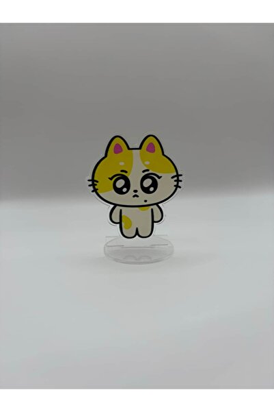 Hara Company Enhypen KPOP Grubu ENCHIN Jungwon WONCHU Akrilik Mini Figür Stan...