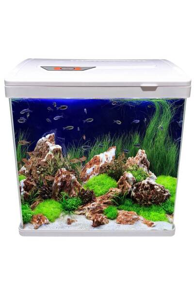 Classica Acvariu capac alb, lumina LED si filtru 28,5 cm
