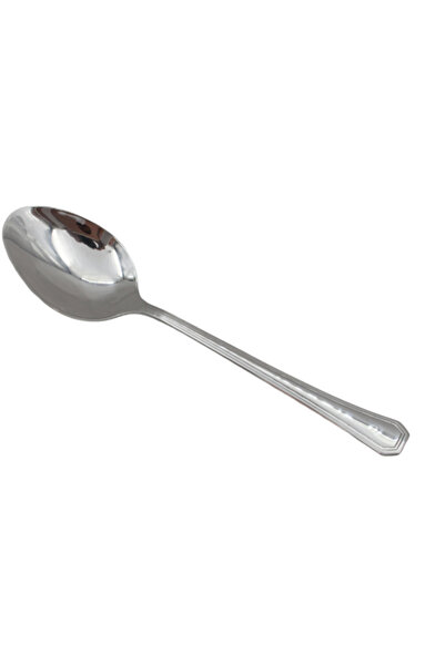 genric Simple Stainless Steel Service Spoon Silver