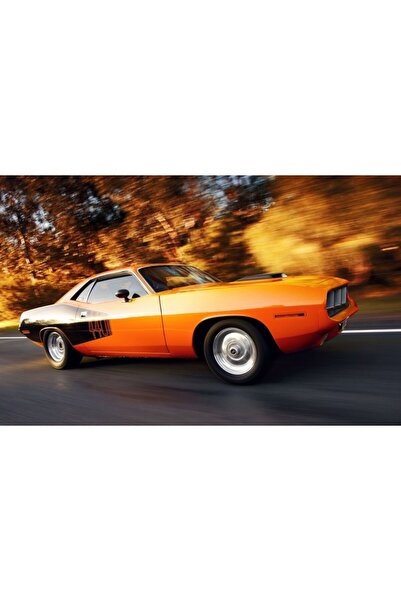 Persona Tablou canvas model Auto, 100 x70 cm, 284