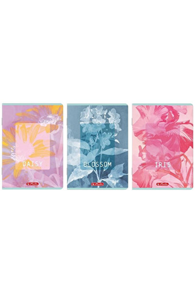 Herlitz Caiete A4 60 file cu margine set 5 multicolor