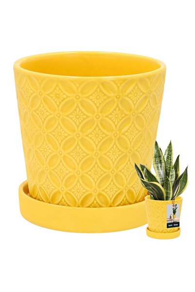 KOTARBAU Ghiveci rotund pentru muștar, 13 cm, cu farfurie, din ceramică glazu...