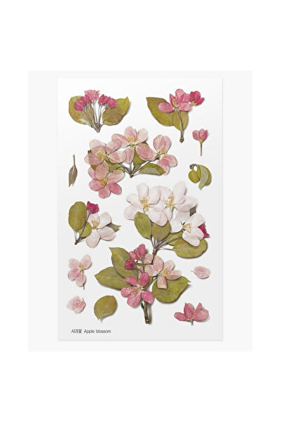 APPREE Stickere decorative flori mar multicolor 15x9.4cm