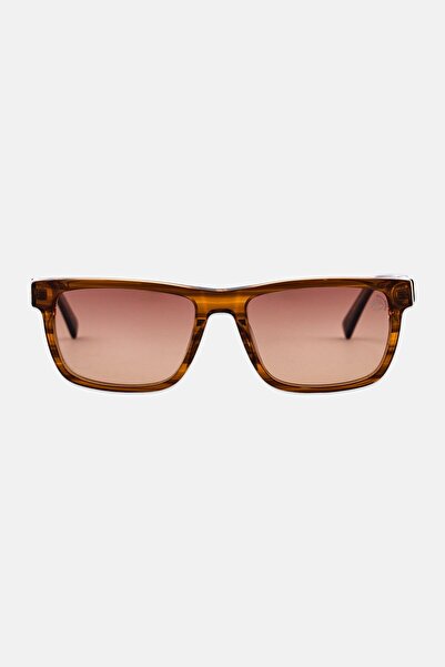 Timberland Men TB00020 Rectangular Sunglasses, Brown