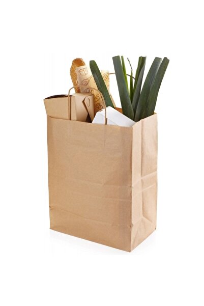 OEM Pungă de hârtie cu mânere CarrBag TW 260, 260x150x350mm (200 bucăți)