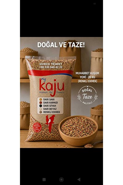 MUHABBET KUŞU YEMİ (RENKLİ EKMEK )