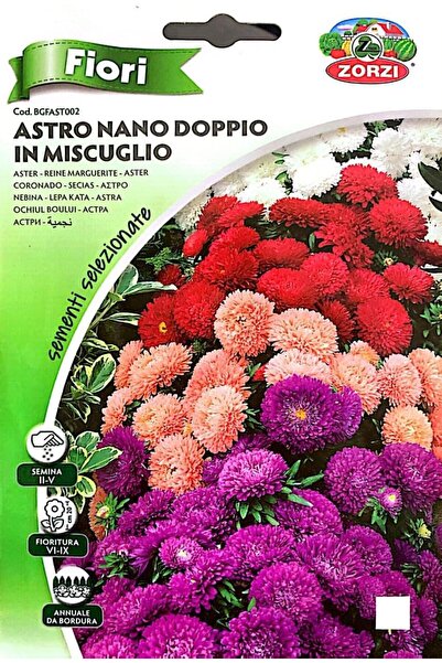 GENERAL Starry Seeds Blooming Seeds 5pact