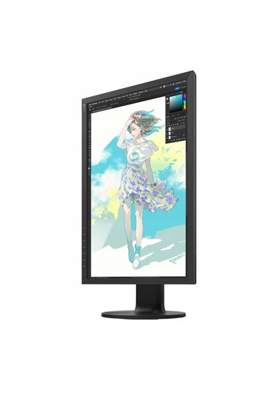 NO BRAND Monitor EIZO ColorEdge CS2400R 24.1 1920x1200px IPS