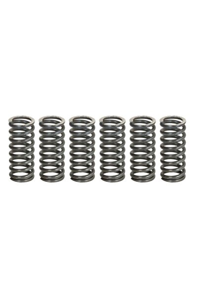 TRW Set Arcuri Ambreiaj (ranforsat) Yamaha Fzs Srx Wr Xj Xjr Xv Yzf 250-750 1...