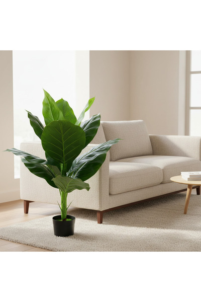 Alessandro DESIGN Decoratiune Bananier Musa, Plastic, 100 cm, Verde