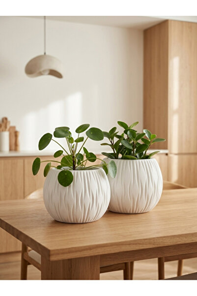 Stone Calm El Yapımı Çizgi Kabartmalı Mermer Tozu Saksı ve Dekoratif Obje - 10x7 cm Minimalist Saksı