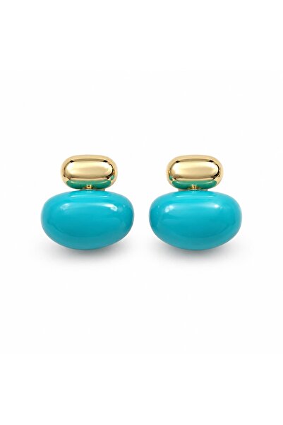 CHARMLUCKY Top-Gold Earrings