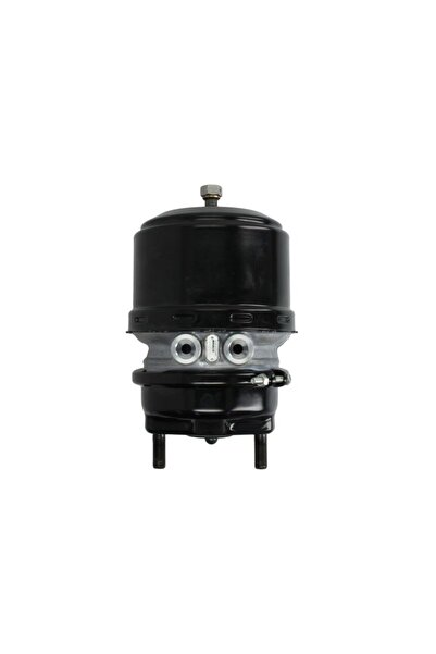 WABCO Camera de Frana Spate (24/30 Cursa: 64mm/64mm M22x1,5mm Disc) Scania R