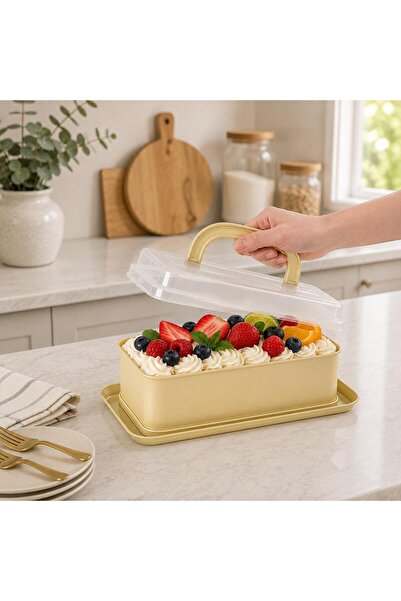 AROW Sweetcase Plastic Lid and Clamp Carbon Steel Cake Mold 31.9X22.8X8.4Cm