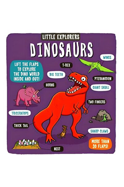 Little Bee Books Dinosaurs (Little Explorers)