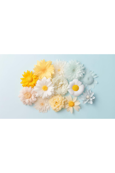 Bloom & Sow Seed بذور زهور مختلطة بلون أصفر باهت وأزرق فاتح - مزيج من الداليا...
