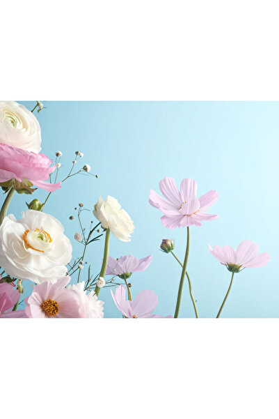 Bloom & Sow Seed بذور زهرة الحوذان بألوان الباستيل، تدوم طويلاً في المزهرية، ...
