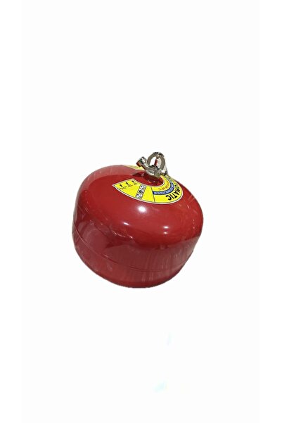 12 KG OTOMATİK TAVAN TÜPÜ