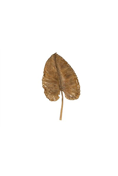 Mikasa Moor Krem Kahve Yaprak Duvar Dekoru 54x102cm