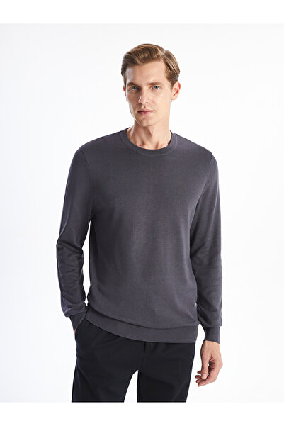 LC Waikiki Crew Neck Long Sleeve Men's Tricot Sweater
