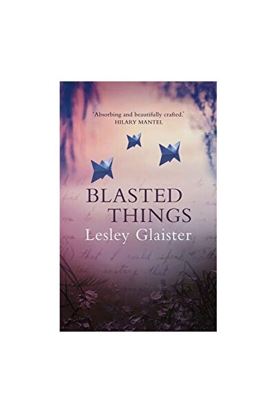 Generic (Unbranded) Blasted Things