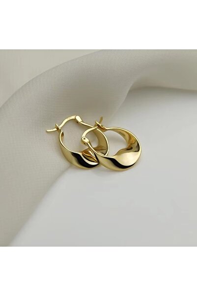 Choice1 Gold New 925 Sterling Silver Irregular Shape Earrings Charming Person...