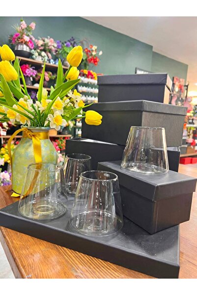 sedoshhomevision Set of 4 Conical Transparent Premium Borosilicate Glass Cups...